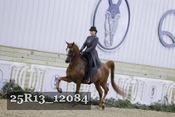 25R13_12084 proof