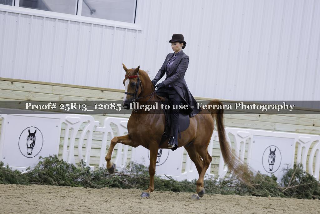 Proof 25R13_12085