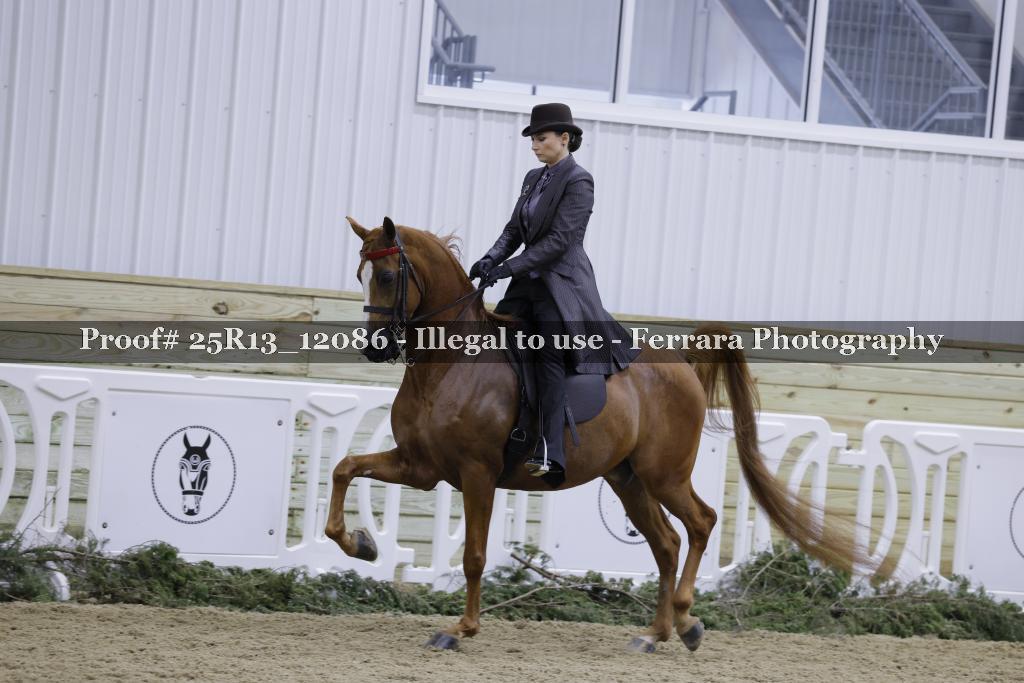 Proof 25R13_12086