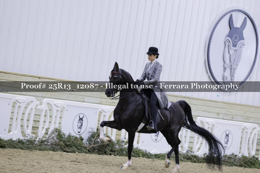 Proof 25R13_12087