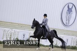 25R13_12087 proof