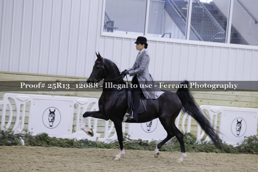 Proof 25R13_12088