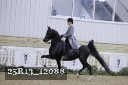 25R13_12088 proof