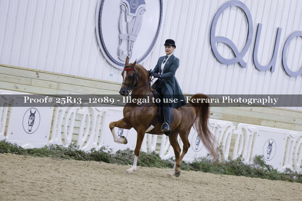 Proof 25R13_12089