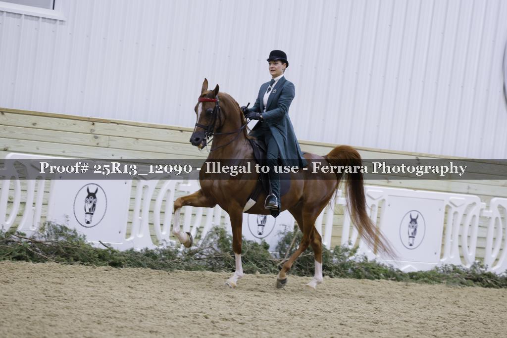 Proof 25R13_12090