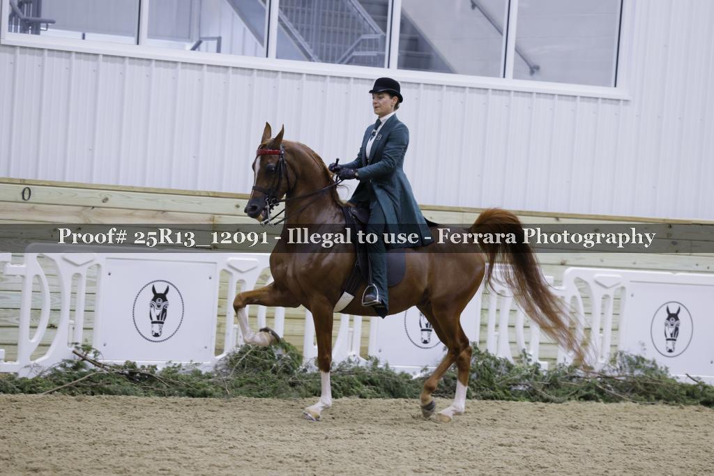 Proof 25R13_12091