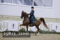 25R13_12091 proof