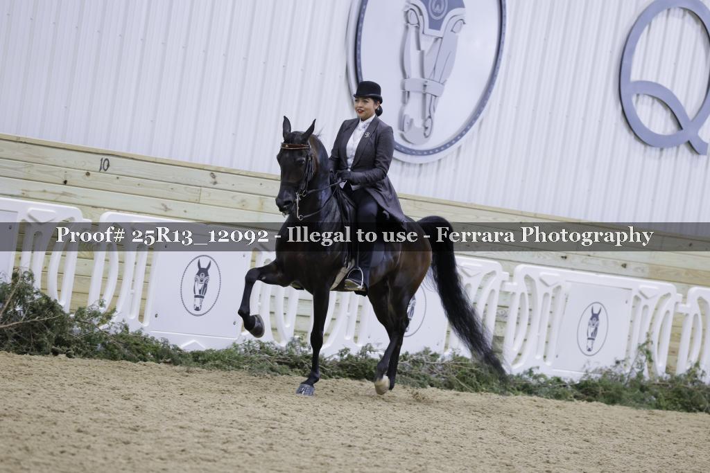 Proof 25R13_12092