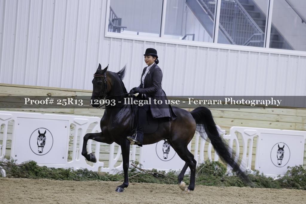 Proof 25R13_12093