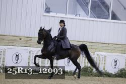 25R13_12093 proof