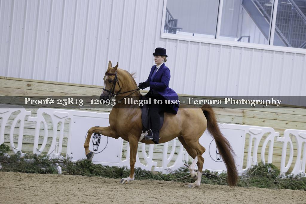 Proof 25R13_12095