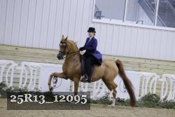 25R13_12095 proof