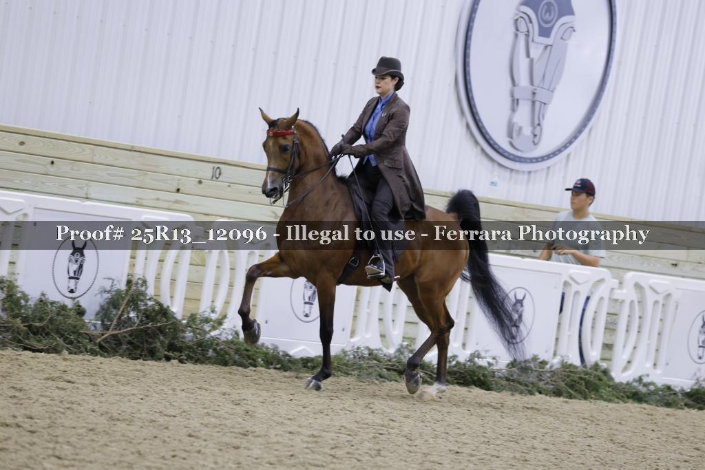 Proof 25R13_12096