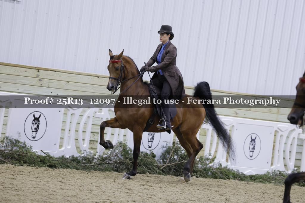 Proof 25R13_12097