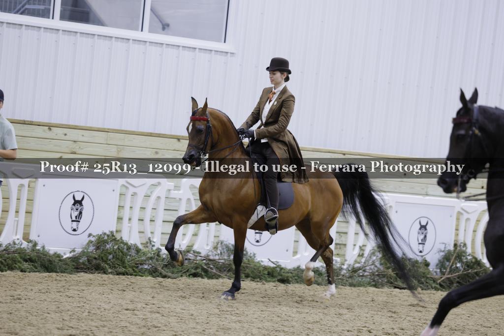 Proof 25R13_12099