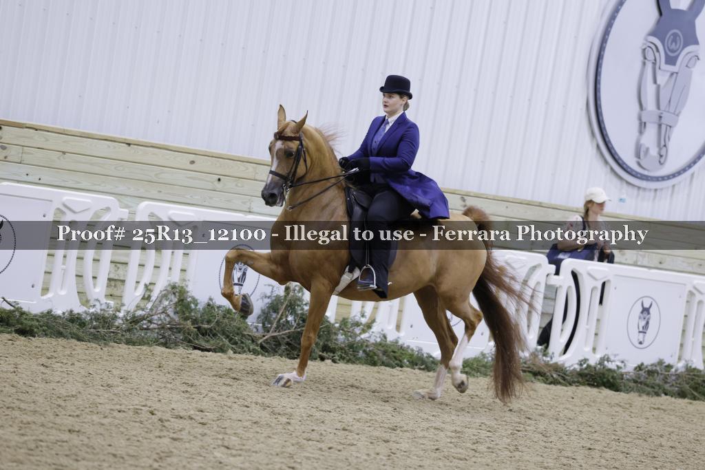 Proof 25R13_12100