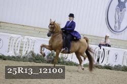 25R13_12100 proof