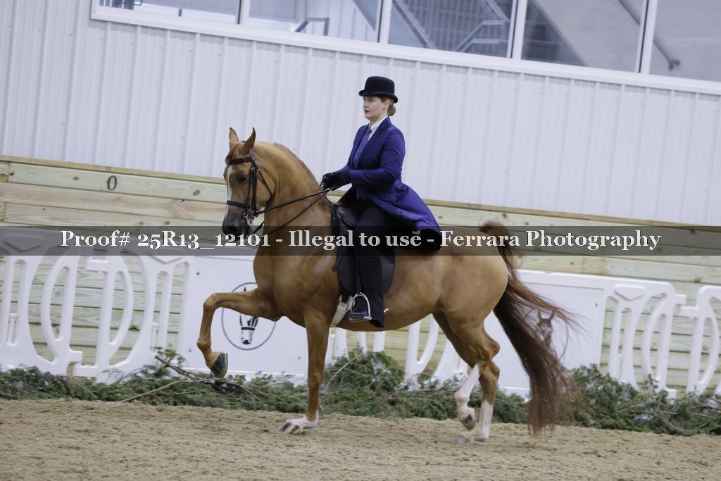 Proof 25R13_12101