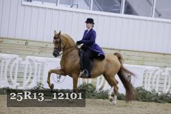 25R13_12101 proof