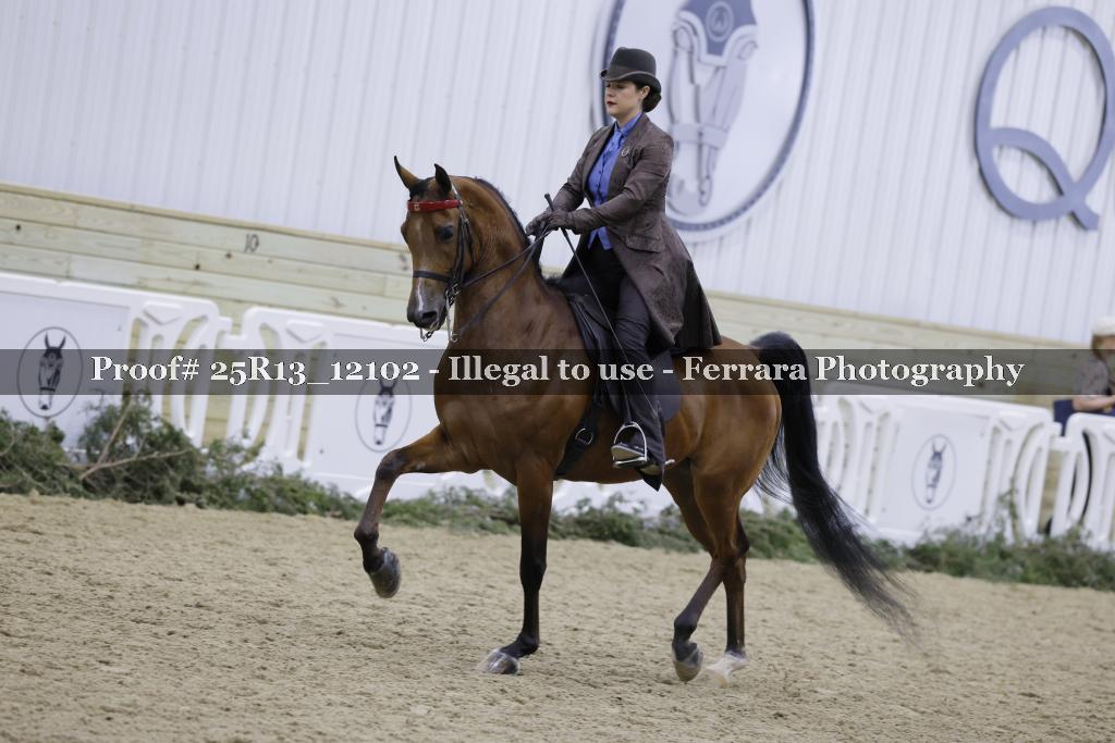 Proof 25R13_12102