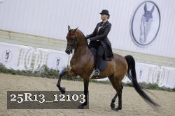 25R13_12103 proof