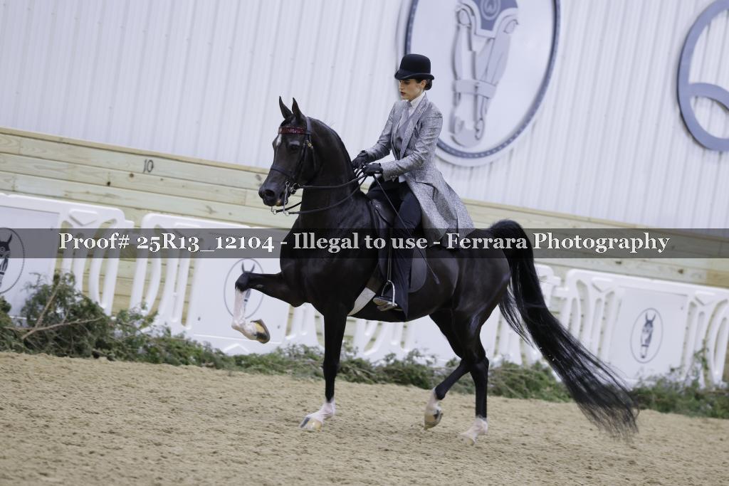 Proof 25R13_12104