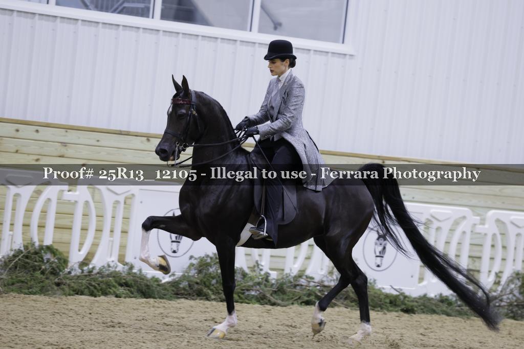 Proof 25R13_12105