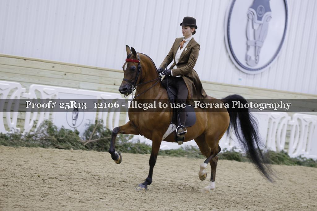 Proof 25R13_12106