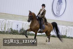 25R13_12106 proof