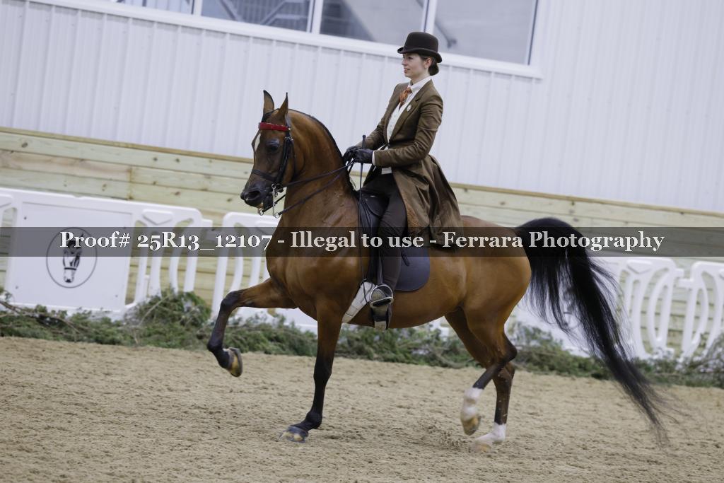 Proof 25R13_12107
