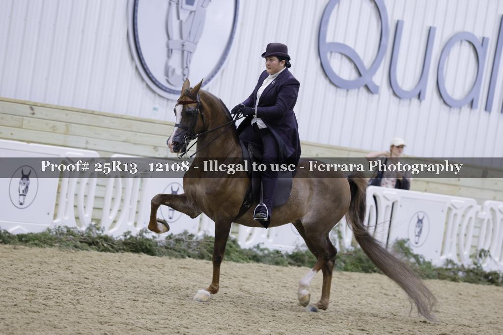 Proof 25R13_12108
