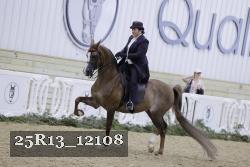 25R13_12108 proof