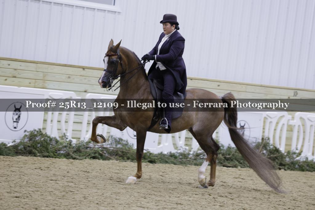 Proof 25R13_12109