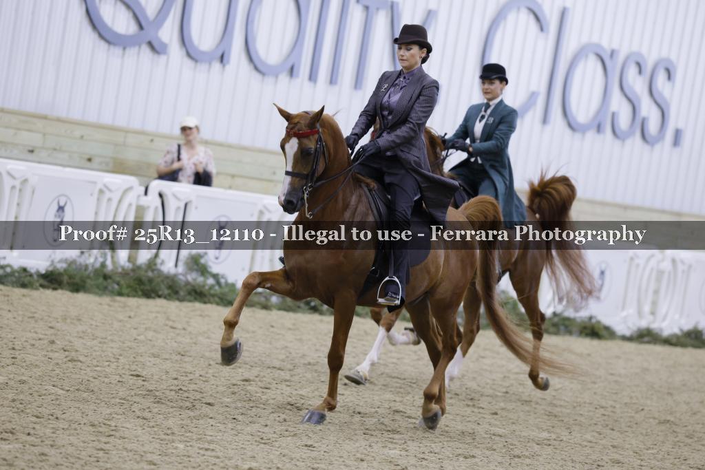 Proof 25R13_12110
