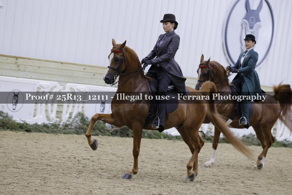 Proof 25R13_12111