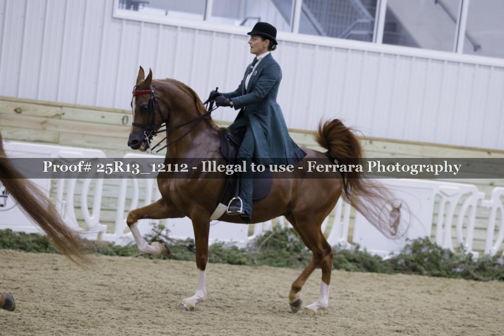 Proof 25R13_12112