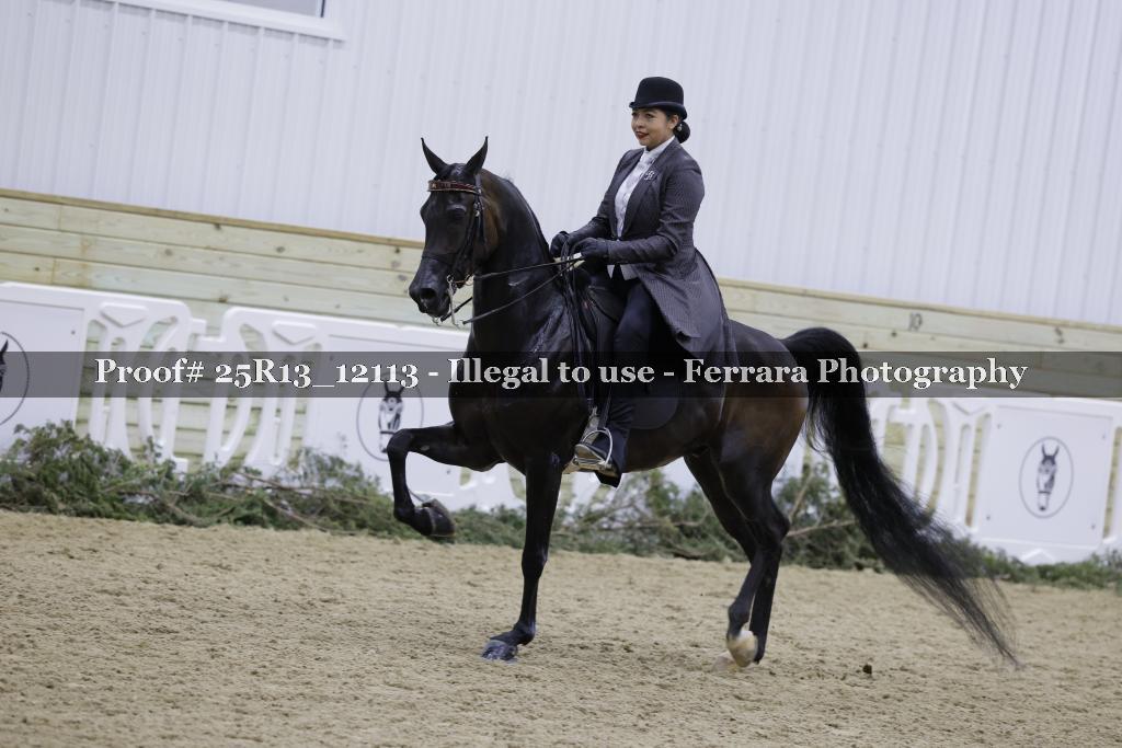 Proof 25R13_12113