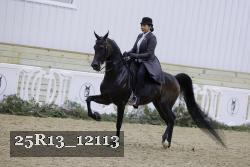 25R13_12113 proof