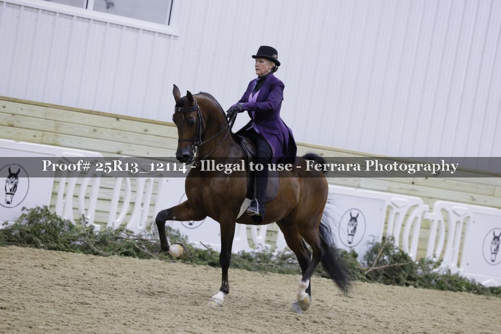 Proof 25R13_12114