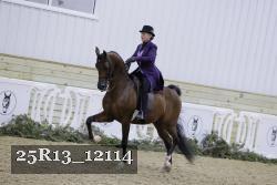25R13_12114 proof