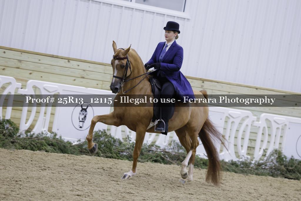 Proof 25R13_12115