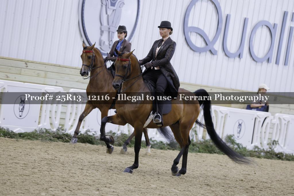 Proof 25R13_12116