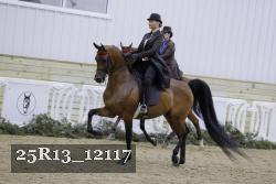 25R13_12117 proof