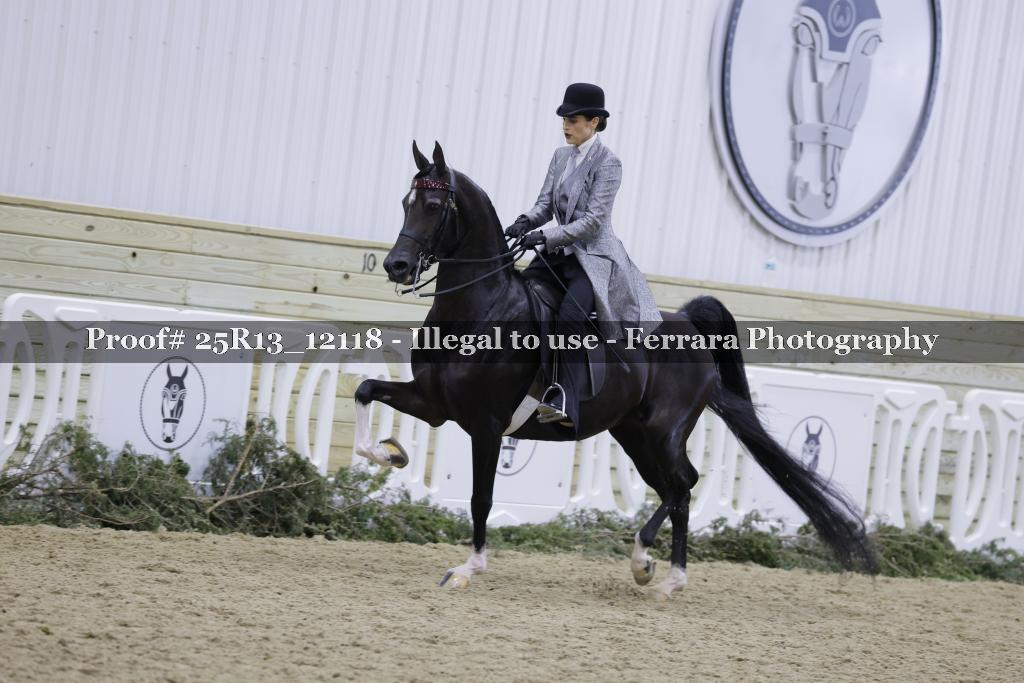 Proof 25R13_12118