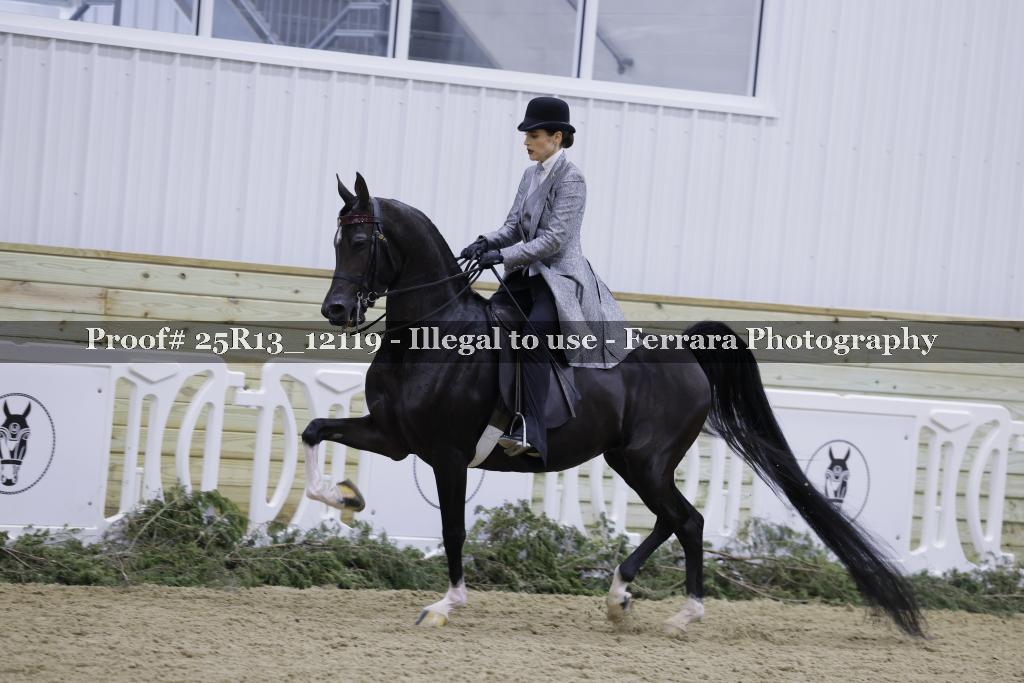 Proof 25R13_12119