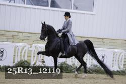 25R13_12119 proof