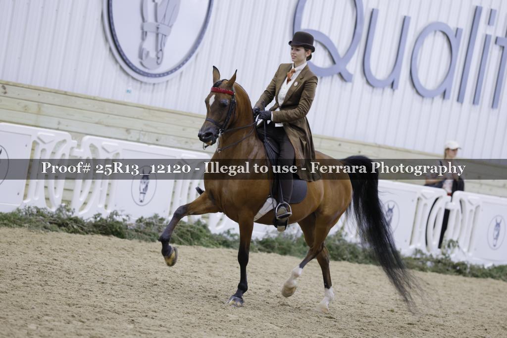 Proof 25R13_12120