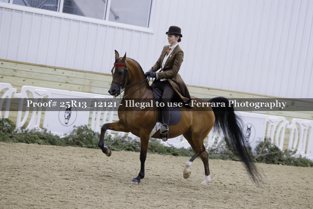 Proof 25R13_12121