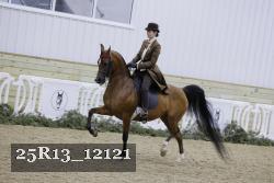 25R13_12121 proof