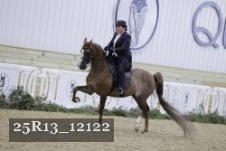 25R13_12122 proof